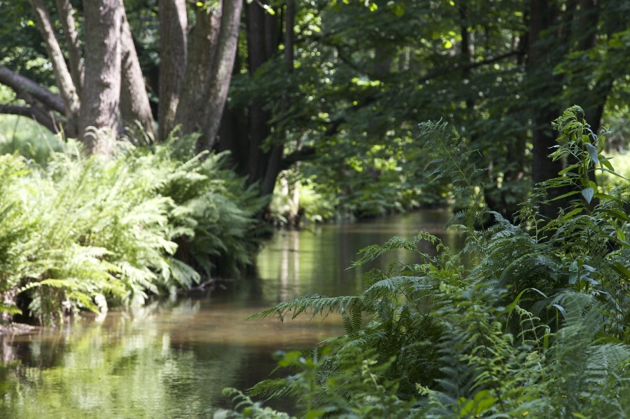Wanderung im Kirnitzschtal Wanderung im Kirnitzschtal