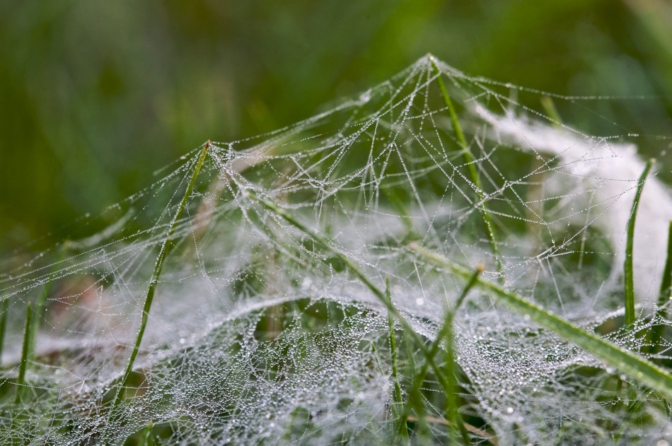 Das Tragwerk ist schon fast vollendet