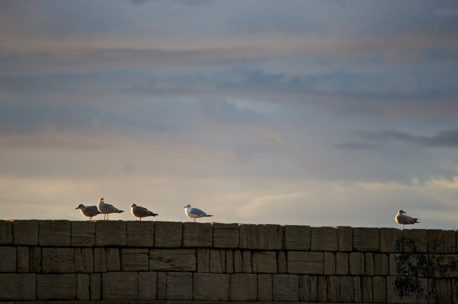 Abend im Hafen von Burghead