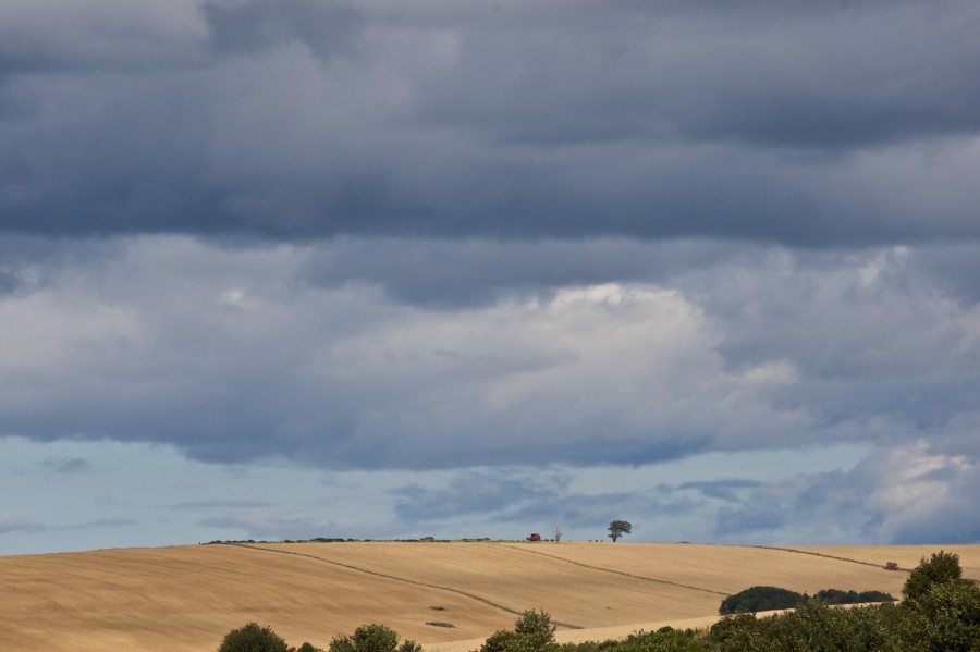 Felder und Wolken bei Huntly
