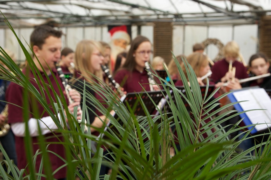 Jugendblasorchester Weihnachtskonzert in der Gärtnerei Jugendblasorchester Weihnachtskonzert in der Gärtnerei