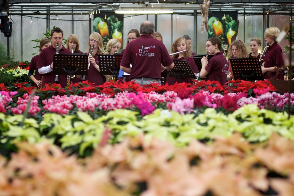 Jugendblasorchester Weihnachtskonzert in der Gärtnerei Jugendblasorchester Weihnachtskonzert in der Gärtnerei