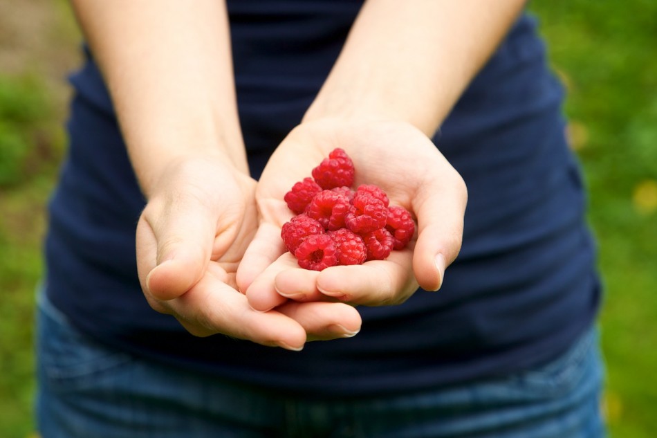 und leckere Himbeeren ...