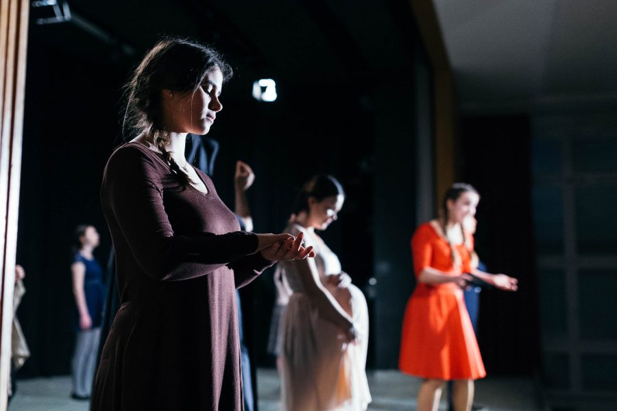 Theater AG Gymnasium am Wall Verden - "Auf der Suche nach Peer Gynt"