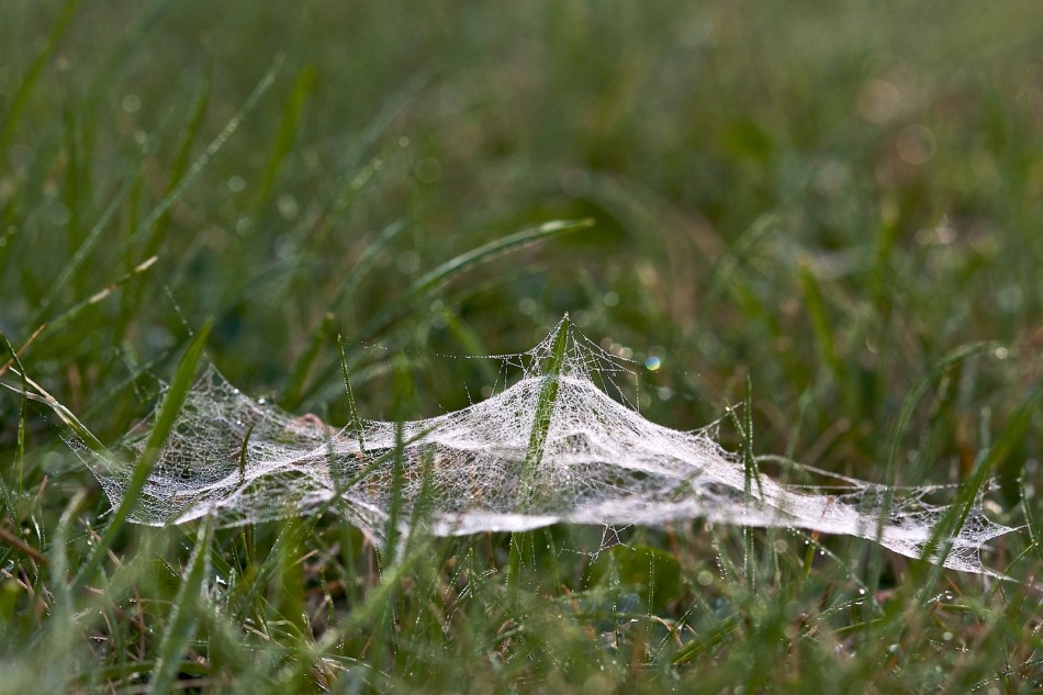 Bauarbeiten für neues  Olympiastadion in Verden
