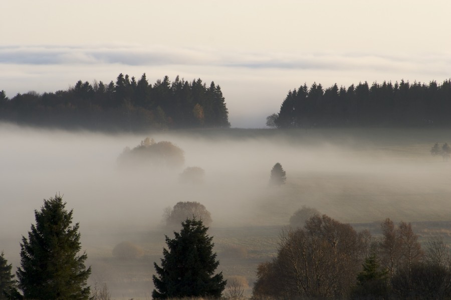 Abendstimmung mit Nebel in der Rhön